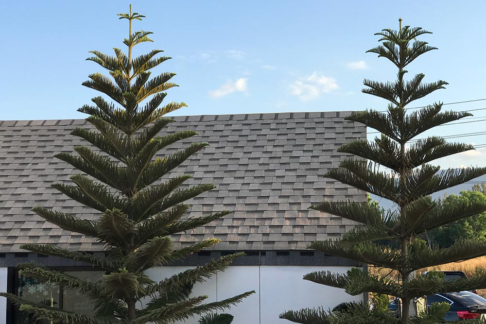 COUNTRY AR collection