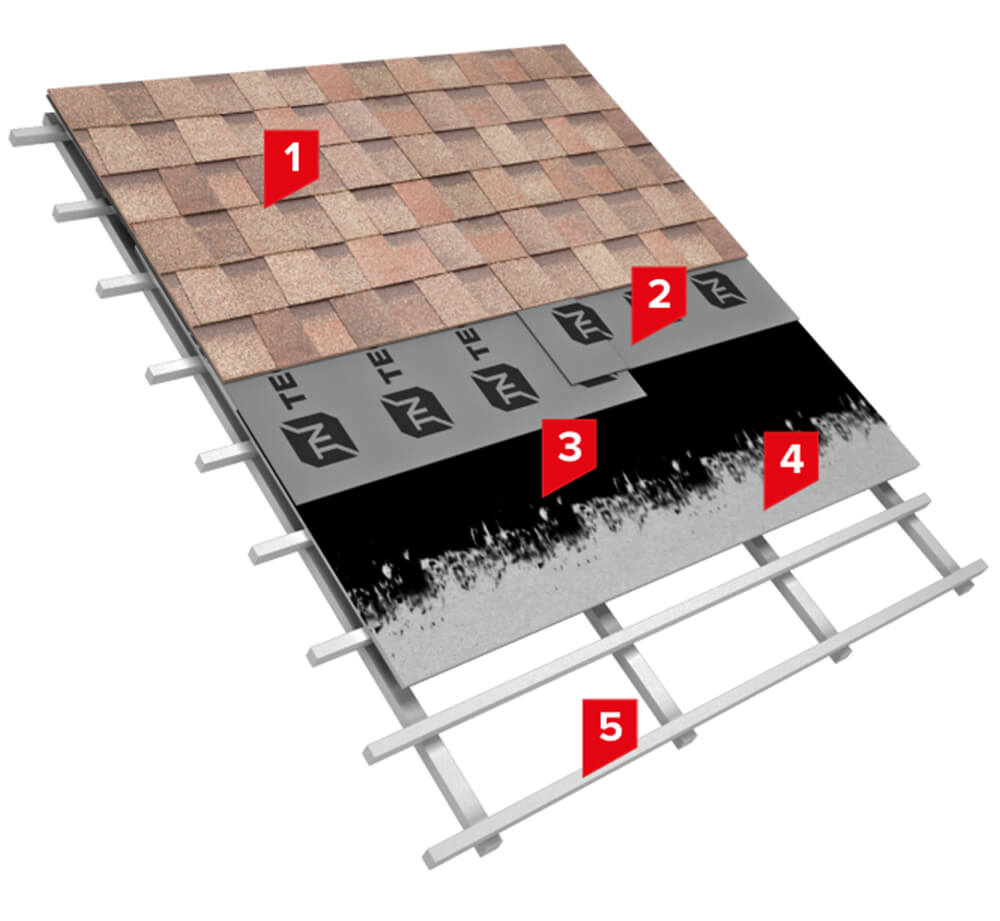 TN SHINGLES CLASSIC TORCHING
