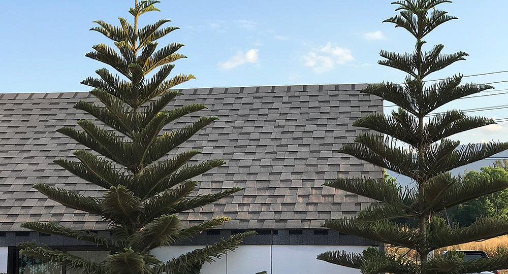 COUNTRY AR collection