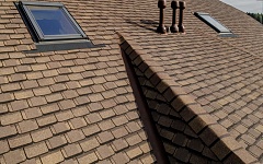 CONTINENT collection